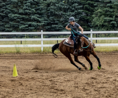 2022-6-26-Sunday-Horse-trial-868