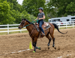 2022-6-26-Sunday-Horse-trial-870