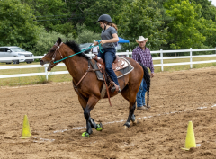 2022-6-26-Sunday-Horse-trial-871