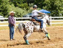 2022-6-26-Sunday-Horse-trial-878