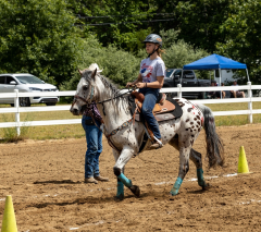 2022-6-26-Sunday-Horse-trial-882