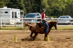 2022-6-26-Sunday-Horse-trial-885