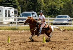 2022-6-26-Sunday-Horse-trial-892