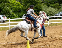 2022-6-26-Sunday-Horse-trial-897