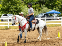 2022-6-26-Sunday-Horse-trial-902