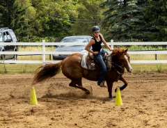 2022-6-26-Sunday-Horse-trial-906