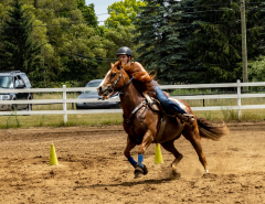 2022-6-26-Sunday-Horse-trial-908