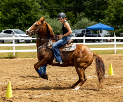 2022-6-26-Sunday-Horse-trial-911