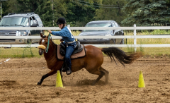 2022-6-26-Sunday-Horse-trial-916