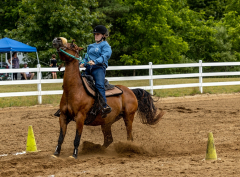 2022-6-26-Sunday-Horse-trial-920