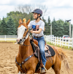 2022-6-26-Sunday-Horse-trial-923