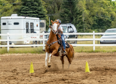 2022-6-26-Sunday-Horse-trial-926