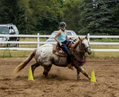 2022-6-26-Sunday-Horse-trial-933