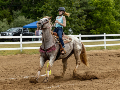 2022-6-26-Sunday-Horse-trial-937