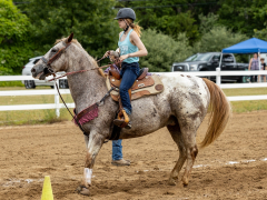 2022-6-26-Sunday-Horse-trial-938