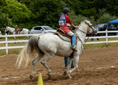 2022-6-26-Sunday-Horse-trial-939