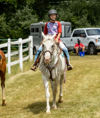 2022-6-26-Sunday-Horse-trial-948