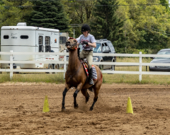 2022-6-26-Sunday-Horse-trial-952