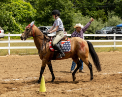 2022-6-26-Sunday-Horse-trial-955