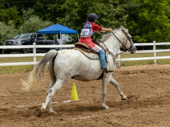 2022-6-26-Sunday-Horse-trial-956