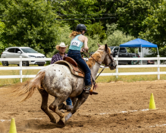 2022-6-26-Sunday-Horse-trial-963