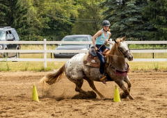 2022-6-26-Sunday-Horse-trial-965