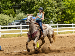 2022-6-26-Sunday-Horse-trial-968