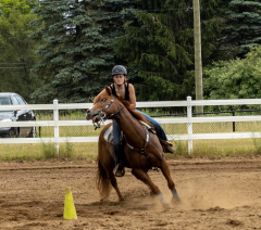 2022-6-26-Sunday-Horse-trial-973