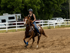 2022-6-26-Sunday-Horse-trial-975