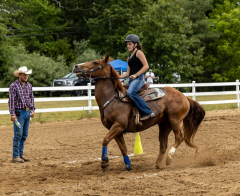 2022-6-26-Sunday-Horse-trial-976