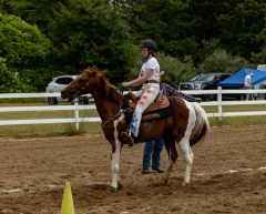 2022-6-26-Sunday-Horse-trial-983