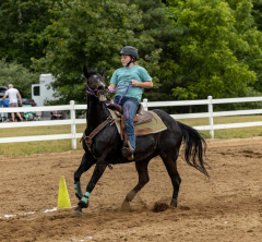 2022-6-26-Sunday-Horse-trial-990