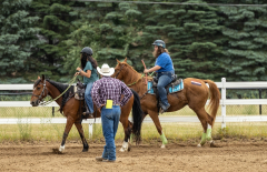 2022-6-26-Sunday-Horse-trial-994