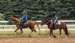 2022-6-26-Sunday-Horse-trial-995