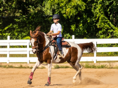 2022-7-31-HVEC-MILFORD-147