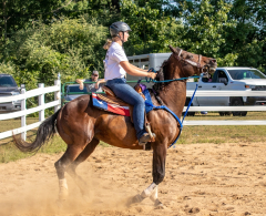 2022-7-31-HVEC-MILFORD-162