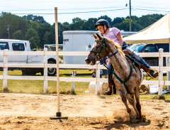 2022-7-31-HVEC-MILFORD-365