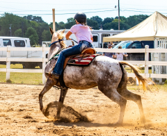 2022-7-31-HVEC-MILFORD-366