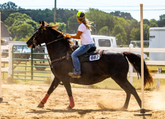 2022-7-31-HVEC-MILFORD-380