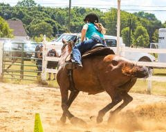 2022-7-31-HVEC-MILFORD-603