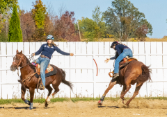 Reginals-10-1-22-293