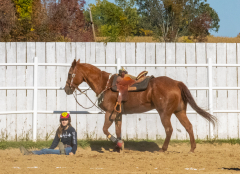 Reginals-10-1-22-294