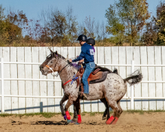 Reginals-10-1-22-305