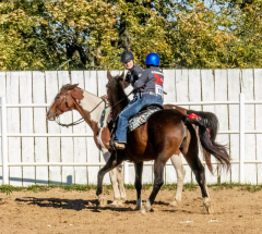 Reginals-10-1-22-309