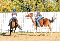 Reginals-10-1-22-310