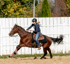 Reginals-10-1-22-317