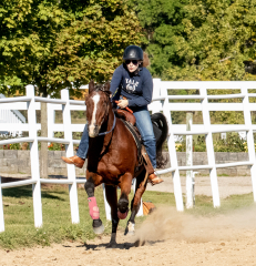 Reginals-10-1-22-319