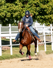 Reginals-10-1-22-320