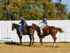 Reginals-10-1-22-323