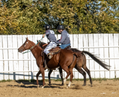 Reginals-10-1-22-324